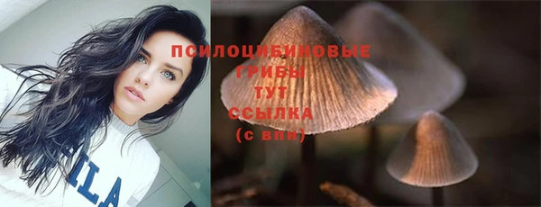 твердый Иннополис