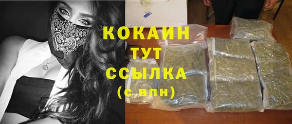 твердый Иннополис