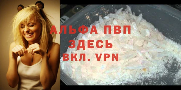 твердый Иннополис