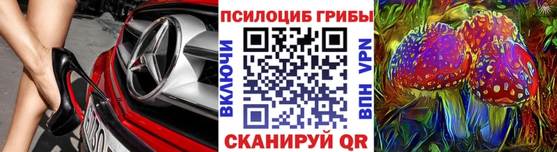 Псилоцибиновые грибы мухоморы  купить закладку  Красноперекопск 